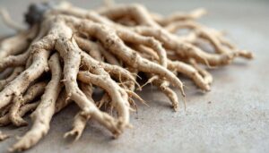 Radici secche e grigie delle orchidee vanno lette per capire quanto e come innaffiare