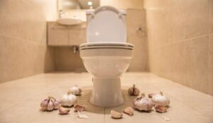 Gettare l’aglio nel water: perché è necessario e perché è consigliato?